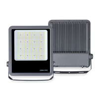 Campo de fútbol Ahorro de energía COB a prueba de explosiones Nuevo 50W 150W 200W 300W 400W 500W Luz de inundación LED impermeable de alta potencia