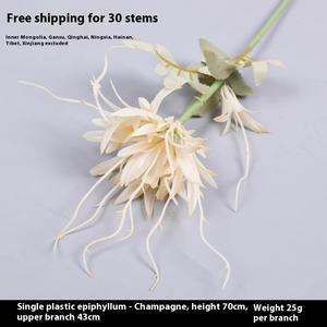 Bigote de dragón artificial Epiphyllum, flor biónica de plástico, salón de bodas suave, horquilla decorativa DIY, tocado, graduación, Pascua - Product Image 6