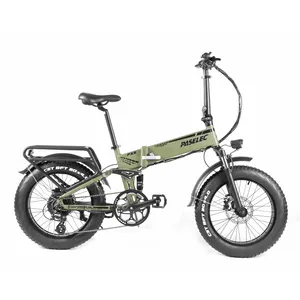 Paselec Foldable Electric Fat Tire Bicycle Folding E Bikes 20" Ebike 750W 8 speed gears with 12Ah Battery