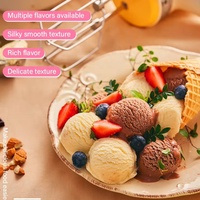 Poudre de crème glacée dure saveur vanille à faible MOQ, mélange de poudre de crème glacée dure Halal de qualité supérieure pour la préparation maison de crèmes glacées d'été