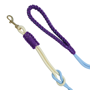 สายจูงสุนัขแบบสั้น ทำจากเชือกไนลอนถักมือ ทนทาน ดีไซน์หัวเข็มขัดคู่ พร้อมโลโก้สั่งทำได้ หลายสี สำหรับปลอกคอและชุดสายรัดสุนัข - Product Image 5