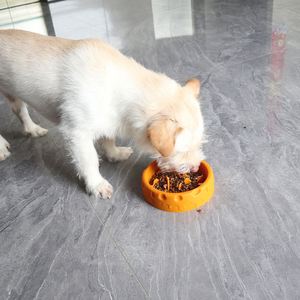 แผ่นซิลิโคนกันลื่นสำหรับใส่อาหารสุนัขชามอาหารสุนัขไม่กระเด็นเป็นมิตรกับสิ่งแวดล้อม - Product Image 6