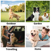 Gants et lingettes de nettoyage pour animaux de compagnie (chats et chiens) en non-tissé, doux, durables, de haute qualité, à formule douce, avec logo personnalisé, vente en gros d'usine