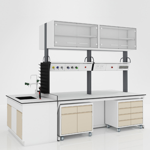 Fabrieksuitverkoop chemische laboratoriummeubels, kasten, roestvrij staal, schoolkunstwerktuigkasten, chemielaboratorium werktafel - Product Image 4