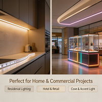 Tira de Luces LED RGB Direccionables IP67 a Prueba de Agua, AC110V 220V/DC24V, con WiFi y DMX, Sincronización Musical por Aplicación, para Paisajismo