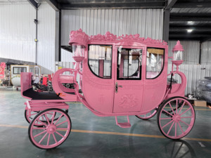 Carruaje Real Eléctrico Cerrado de Lujo Europeo en Oro Blanco, Personalizable, Estilo Vintage, para Paseos de Princesas - Product Image 5