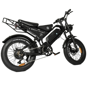 Vélo tout-terrain électrique tout-terrain à gros pneus de 20 pouces, vélo électrique de 1000W, batterie au lithium de 48V, vélo hybride <span class=keywords><strong>urbain</strong></span> - Product Image 1