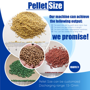 RICHI personalizzato 1-2 t/h macchina fare Tilapia mangime per pesci pellet - Product Image 2