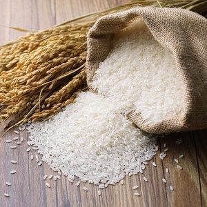 ข้าวหอมเกรดพรีเมี่ยมสำหรับร้านขายของชำ - Product Image 4
