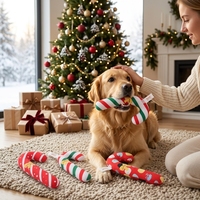 Jouets pour chiens en peluche écologiques en forme de canne à sucre de Noël, couineurs interactifs, à mâcher, pour la dentition des chiots, durables, doux, cadeau pour animaux de compagnie, remplissage de chaussette de Noël