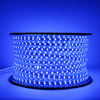 Bande lumineuse LED flexible 220V 60 LED/m SMD 5050 RGB, étanche IP67, revêtement PVC, découpable, contrôle par application, lampe à une seule rangée