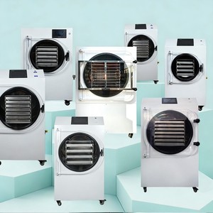 Attrezzatura per Liofilizzazione di Alta Qualità e Liofilizzatore in Vendita con Servizio Post-Vendita Senza Preoccupazioni - Product Image 2