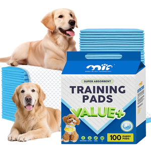Tapis de propreté écologiques pour chiots, super absorbants, anti-fuites, pour chien, vente en gros d'usine OEM - Product Image 1