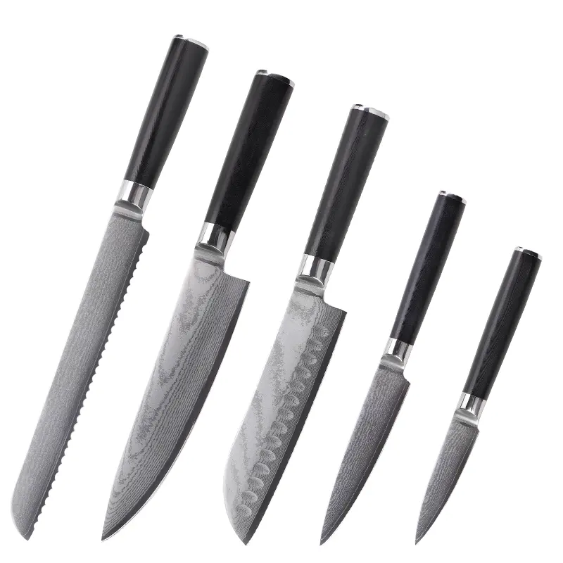 Messer Set Forgé 5 Pcs Professionnel Japonais Damas En Acier Couteaux Ensemble Chef De Cuisine Utilitaire Fruits Couteau À Éplucher Avec G10 Poignée