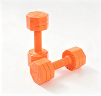 Ensemble d'haltères réglables 5KG / 10KG, design compact, entraînement de force à domicile, poids pour la musculation en salle de sport
