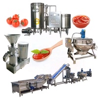 Grande ligne de production industrielle de pâte de tomate Mini usine complète de traitement de pâte de tomate concentrée industrielle