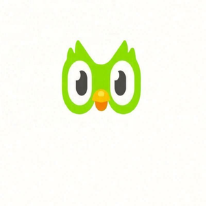 <span class=keywords><strong>Compte</strong></span> Premium Duolingo Pro <span class=keywords><strong>Edu</strong></span> 1 an Applicable dans le monde entier Activez votre propre <span class=keywords><strong>compte</strong></span> - Product Image 5