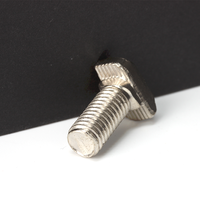 Boulon à fente en T en acier au carbone nickelé sur mesure pour boulon à tête de marteau standard Euro 30