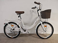 Bicicleta Compacta para Mujer, Fácil de Conducir, Bicicleta Urbana de 20 Pulgadas para el Uso Diario, Venta Directa de Fábrica en China