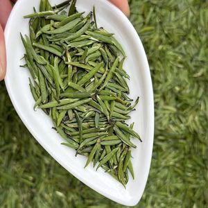 Té Verde Mingqian de Sichuan de Alta Calidad de Nueva Cosecha, Zhu Ye Qing, Té Suelto de Hojas de Bambú, Verde Pájaro - Product Image 3