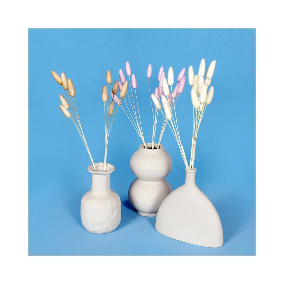 Real Touch en venta flor seca Mini decoración planta de secado prensado colas de conejo arreglos de plumas secas plantas hierba Pampas