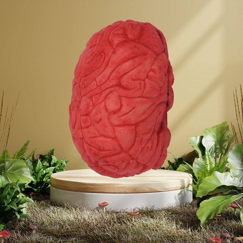 Simulation cerveau