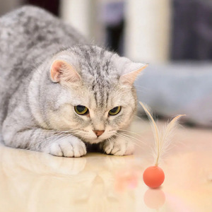 Jouet interactif pour chat, balle rebondissante en plumes, vert menthe, rose rouge, orange, anti-ennui, jouet pour animaux de compagnie - Product Image 3