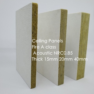 Paneles Acústicos para Techo Suspendido, Resistentes al Moho y Antibacterianos, Celotex -- Rejilla Acústica para <span class=keywords><strong>Aislamiento</strong></span> de Ruido - Product Image 2