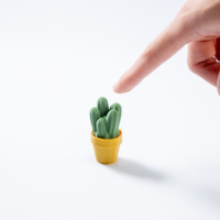 Service d'impression 3D 22 Network : Jouet anti-stress créatif en forme de plantes succulentes, mignon, pour prototypage rapide, personnalisable pour enfants en ABS/PC