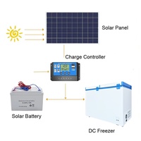 Congélateur solaire professionnel 508L à double porte DC 12V 24V avec panneaux solaires pour le marché d'Afrique et du Moyen-Orient