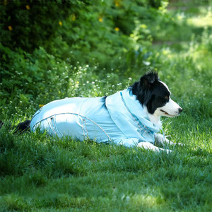 Chaqueta Impermeable y Cortavientos para Perro, Reflectante, Protección UV, Anti-Pelo, para Invierno, Senderismo y Camping - Product Image 5