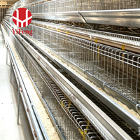 Cage de pontage de type A avec alimentation et abreuvement automatiques, collecte d'œufs, système de fumier OEM, abreuvoir à tétine, galvanisation à chaud pour ferme avicole