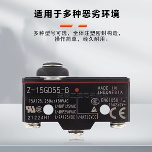 ไมโครสวิตช์แท้ Z-15GW255-B SPDT คันโยกโลหะ 15A 250VAC ผลิตในญี่ปุ่น - Product Image 2