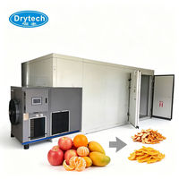Industriële warmtepomp-dehydrators; elektrisch, roestvrij staal, automatische droogapparatuur voor fruit, groenten en citroenen