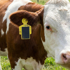 Etiqueta de Oreja GPS 4G para Ganado con Energía Solar, Reproducción de Historial de Rastreo, Gestión de Grupos Multidispositivo para Monitoreo de Ubicación Animal - Product Image 1