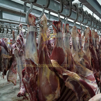 Máquina Automática para el Sacrificio de Vacas con Garantía de 3 Años, Equipo para Mataderos de Ganado, Procesamiento de Carcasas