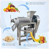 Hochkorrosionsbeständiger Spiralentsafter 80KG Kapazität 220V 2200W Hohe Produktivität Einfaches Reinigungssystem Obstverarbeitungsanlage