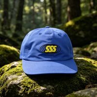 Chapeaux de papa 100% en coton, non traités, personnalisés, brodés, personnalisés, 6 panneaux, pour papa