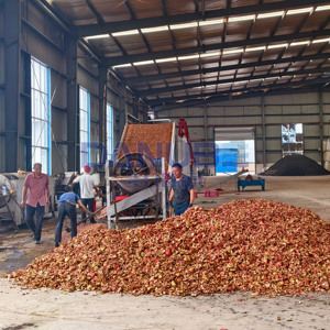 Nueva Línea de Producción para Limpieza y Secado de Cáscaras de Naranja y Limón con Secador de Malla - Product Image 3