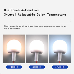 OEM ODM LED <strong>Vanity</strong> <strong>Mirror</strong> <strong>Lights</strong> with 10 Dimmable Bulbs USB Powered 3 Color Makeup <strong>Mirror</strong> <strong>Lights</strong> Manufacturer - Product Image 4