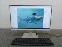Support de bureau pour ordinateur de bureau 24 pouces AIO avec caméra et carte vidéo optionnelles, bras de levage pour un espace de travail minimaliste professionnel