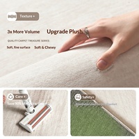 Carpet Living Room Light Luxury High-End Feel Stain-Resistant Easy Clean Waterproof Polyester Italian Minimalist Modern Rug