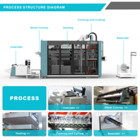 Hoge capaciteit PET PP PS transparante drinkbeker productiemachine plastic thermoformmachine