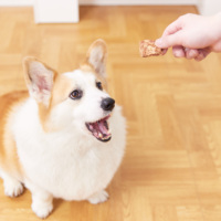 Aroma Pet - Golosinas para Perros Grandes, Envueltas en Piel de Res, con Camote, Resistentes a las Mordidas, para la Digestión Sensible y el Mal Aliento