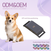 OEM/ODM Traceur GPS pour animaux de compagnie 4G IPX6 Étanche Clôture virtuelle Certifié CE Marque privée pour les marchés mondiaux