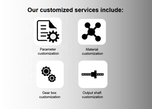 Động Cơ DC Mini N20 2.5V 3V 4.5V 6V 24V 12MM Mô-men Xoắn Cao Tốc Độ Thấp Động Cơ Bánh Răng Mini 750 Vòng/phút Giảm Tốc - Product Image 3