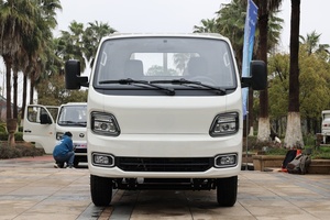 Camionnette à plateau plat Runli/Micro camionnette 4x2 à essence/Mini camionnette à plateau plat 122 CV/Micro camionnette à double roue arrière/Camion de fret à essence Euro 6 - Product Image 6