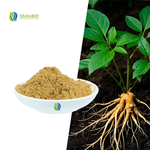Extrait de Panax Ginseng, Extrait de Panax Quinquefolius, qualité alimentaire, 20% de ginsénosides - Product Image 3