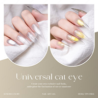 JTING Nouveau Modèle Vernis Gel Magnétique Effet Œil de Chat Universel 9 Couleurs Esthétique TPO/Hema Free Fournisseur Populaire OEM