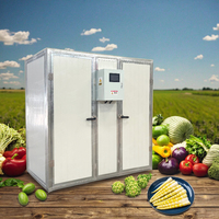 Machine de séchage de paddy Offre Spéciale Machine de déshydrateur de petite machine de séchage de graine pour des fruits et légumes